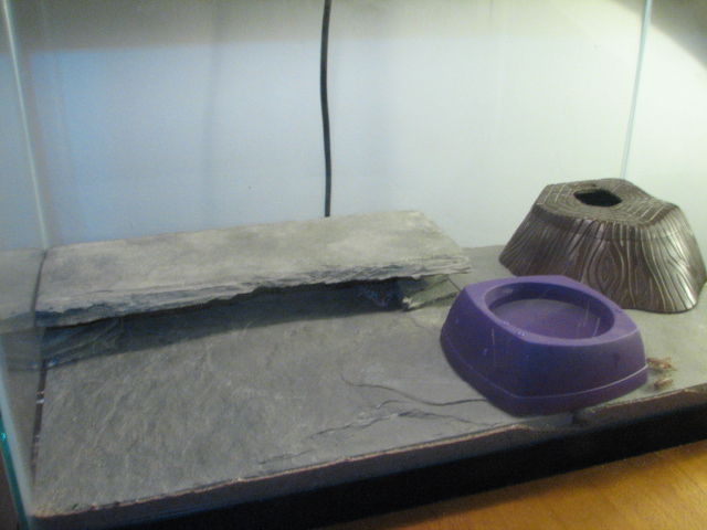 Setup