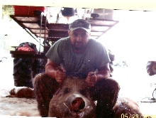 hogg