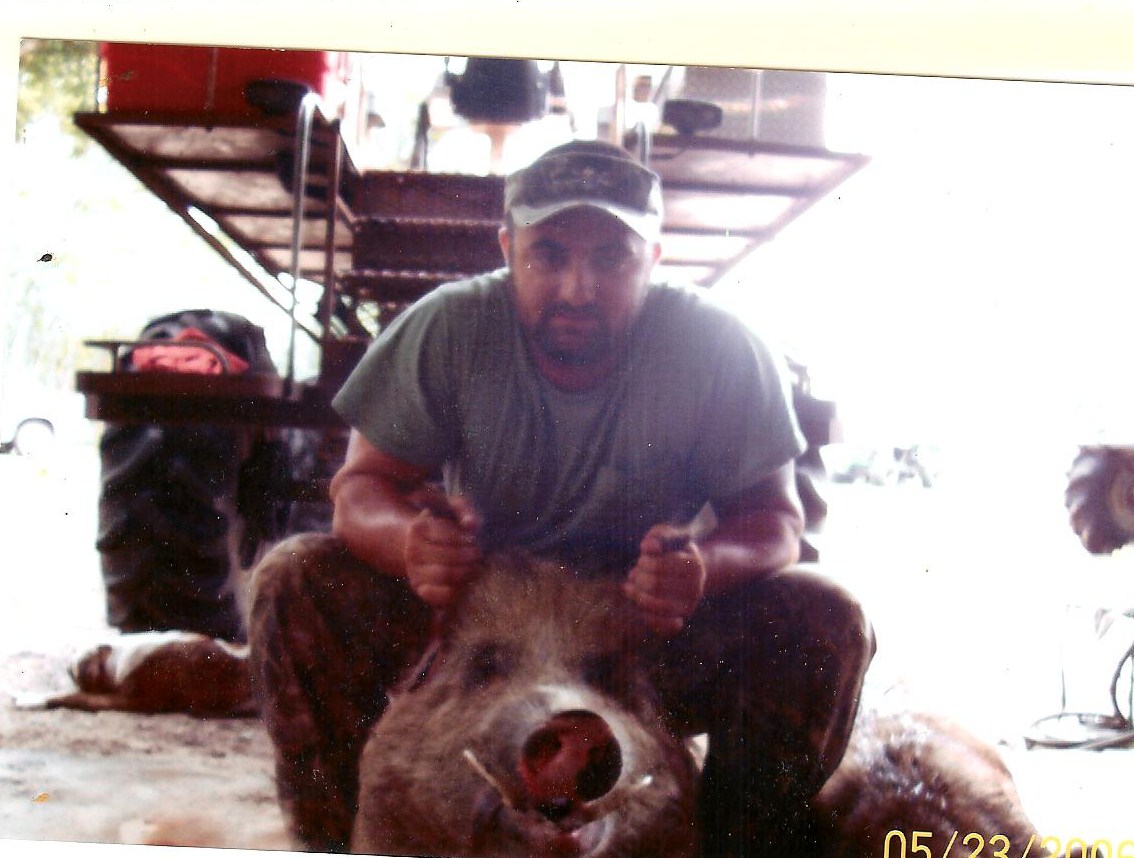 hogg