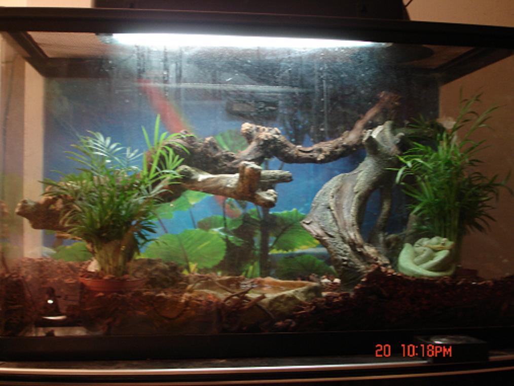 gtp tank