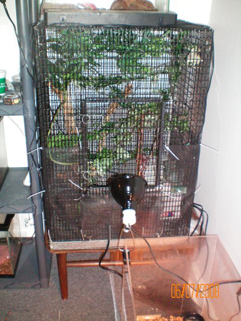 Cham cage