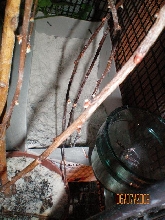 cham sand