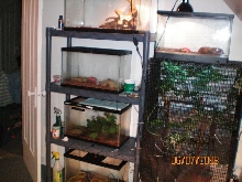 tanks' setup