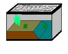 toad setup
