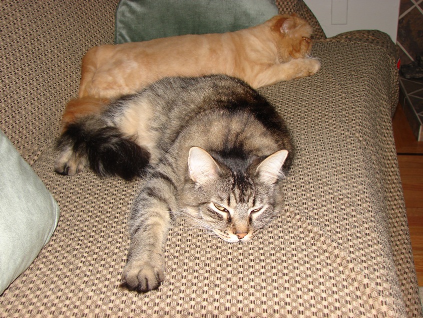 Gunner and Shana