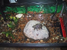 top view