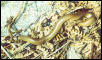 rubberboa3