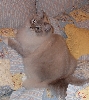 Tony