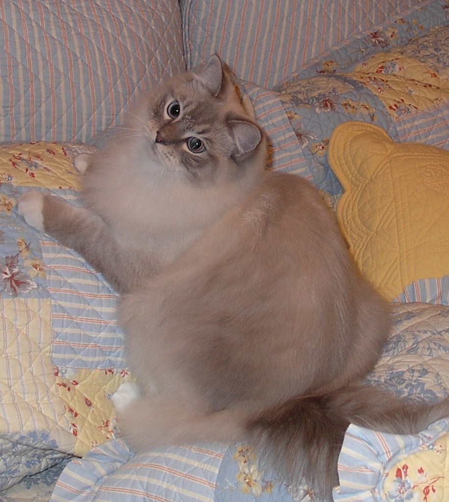Tony