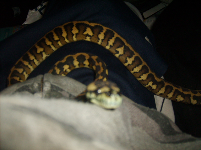 female#2