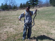 the biggest one i found that day (6ft)