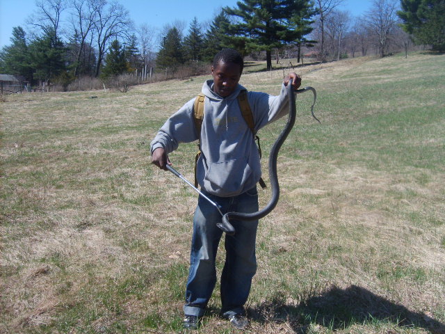 the biggest one i found that day (6ft)