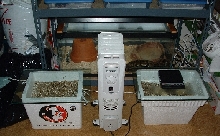 My incubation setup