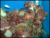 Saltwater Photos