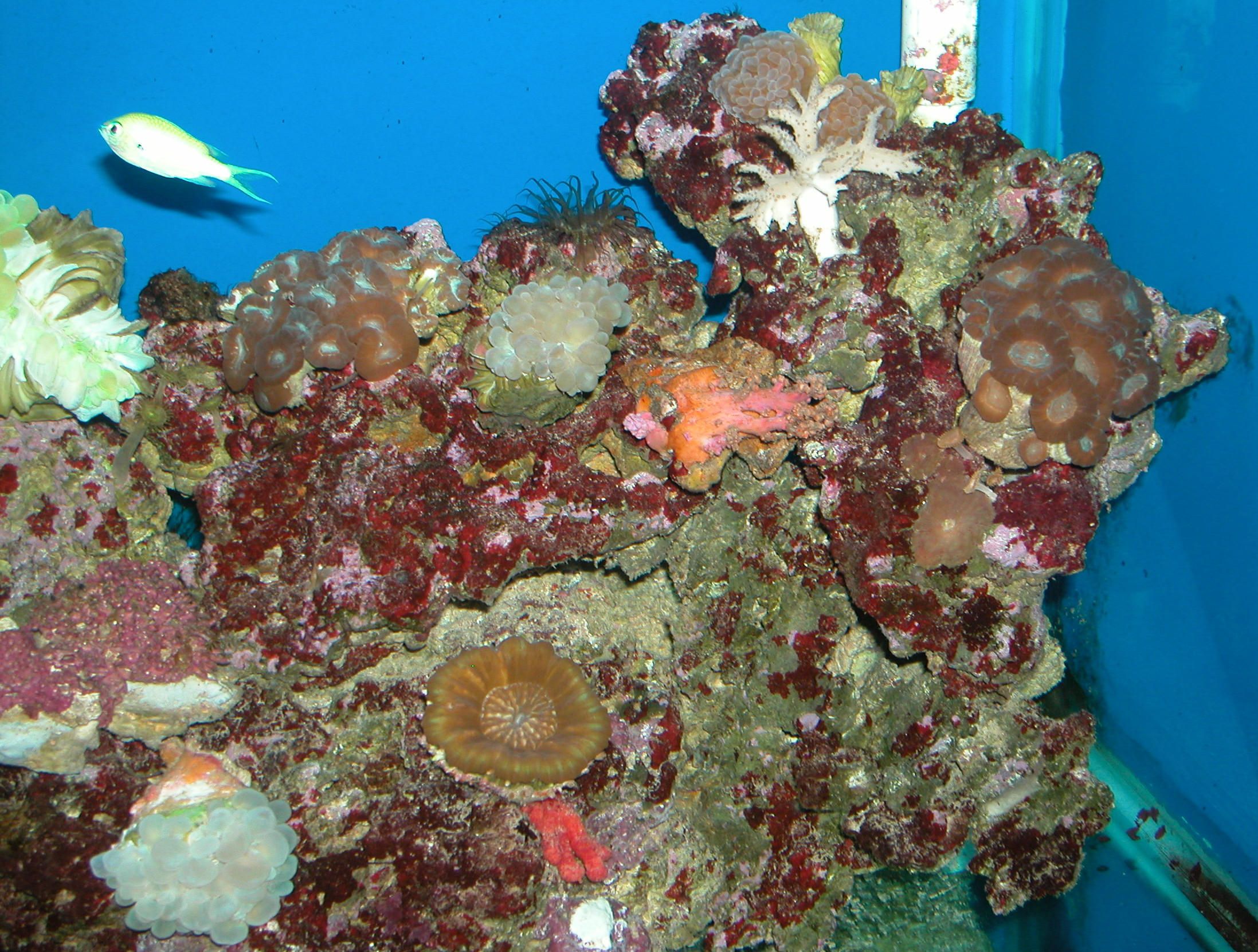 Saltwater Photos