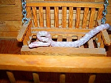 Just a swing