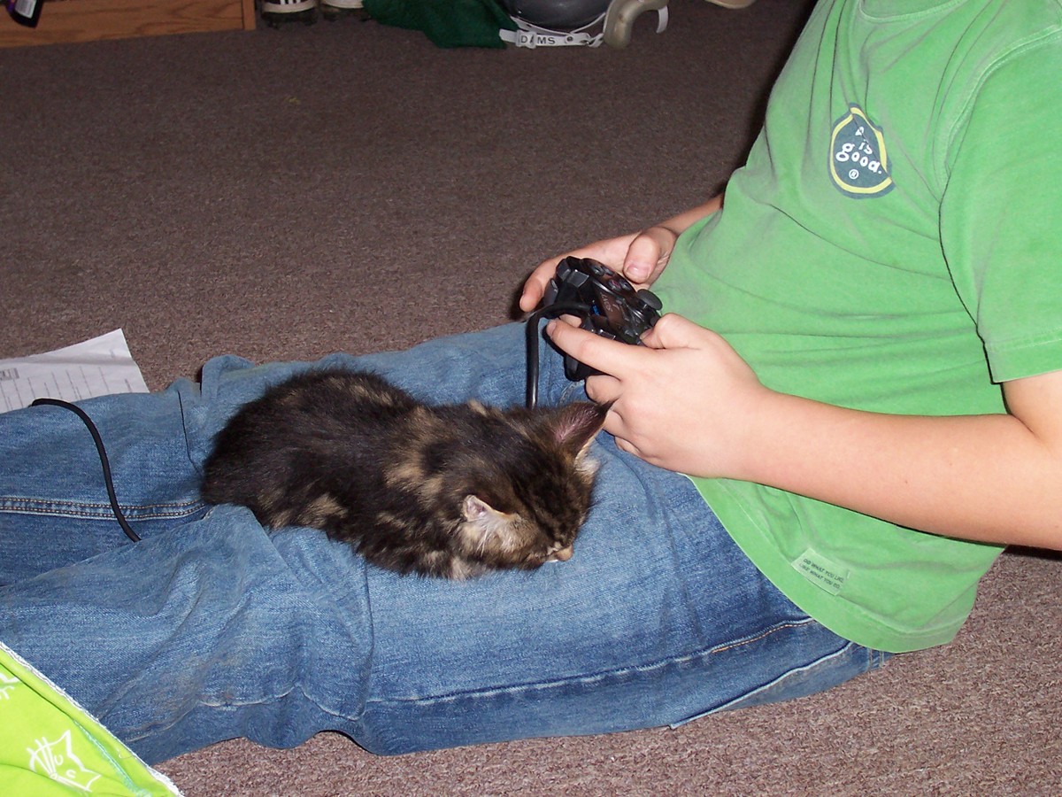 Tuckered Out on the First Day