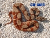 C3f