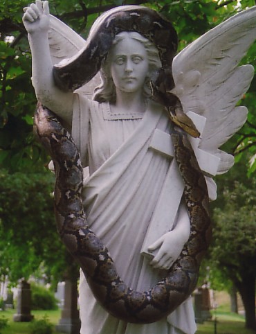Fred in the the arms of angel.