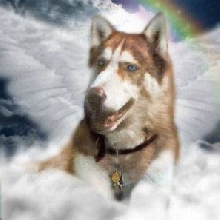 Nvwati April 1, 1997-Sept. 28, 2007
