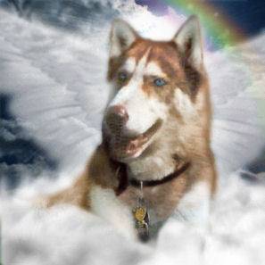 Nvwati April 1, 1997-Sept. 28, 2007