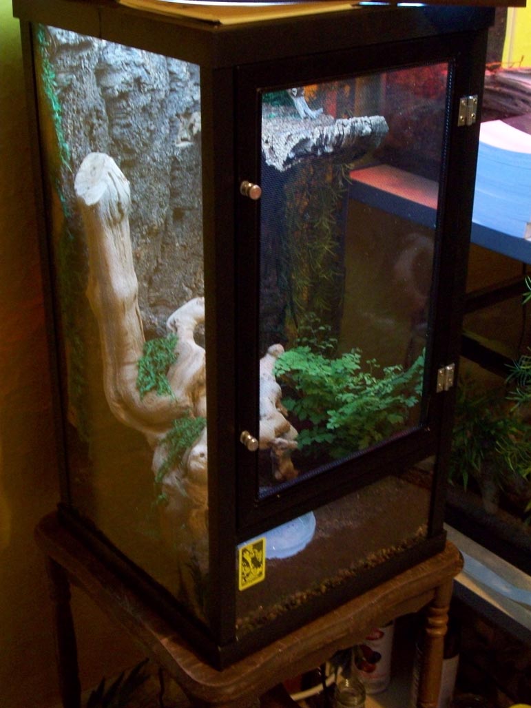 Vivarium