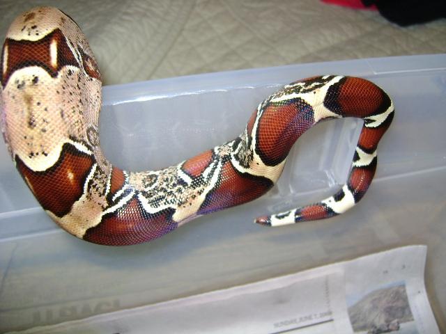 WC CRUTFEILD F3