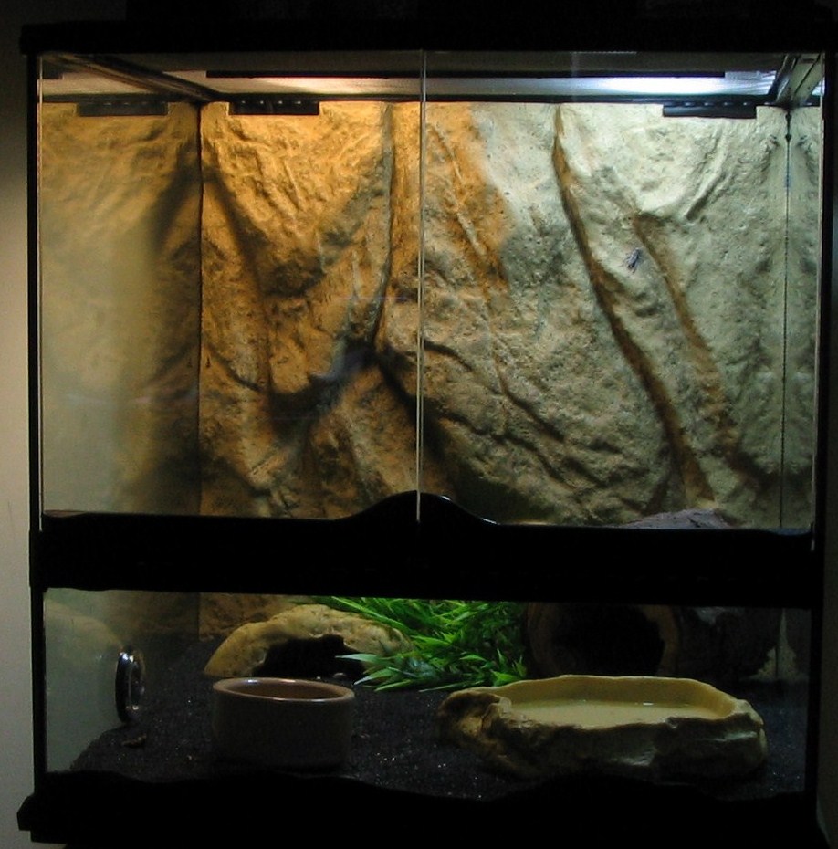 My viv