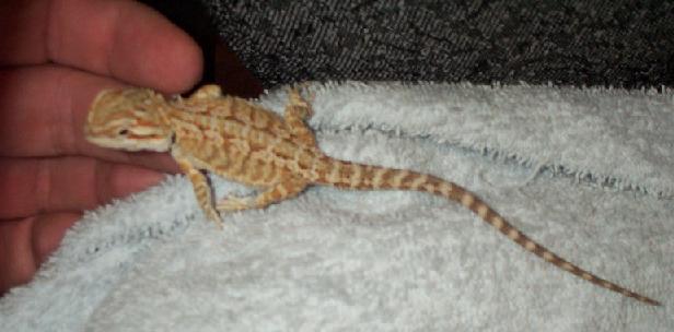 Baby #4
