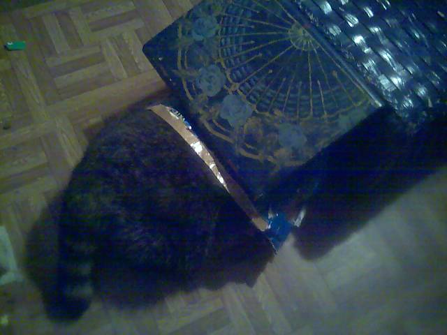 found catfood