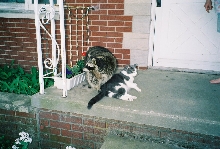 sammywhee and gus