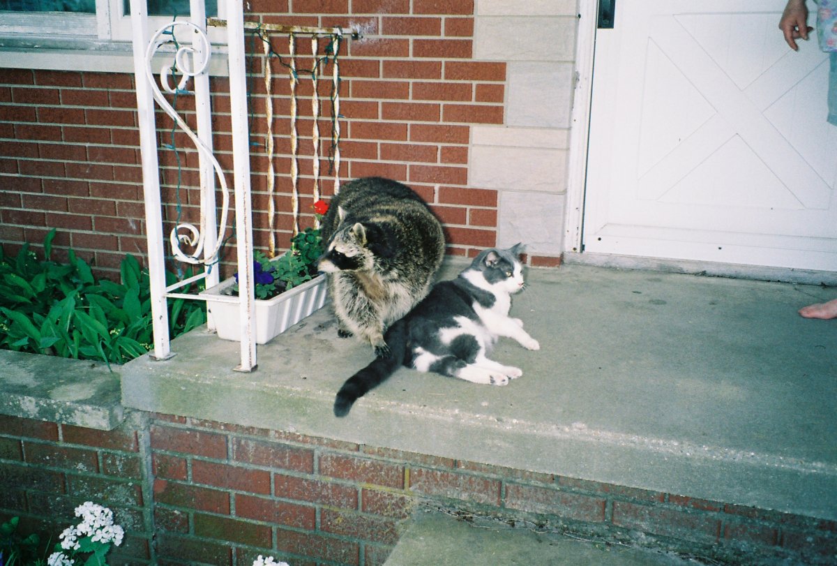 sammywhee and gus