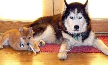 Kuma and Boris