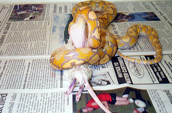 Lydia Eating 2