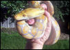 Lydia on Hand_2