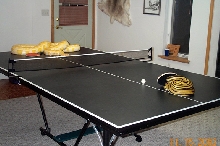 Ping-Pong Pythons1