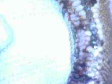 help! sick snake pic 1