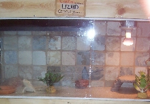 Top cage of condo #2