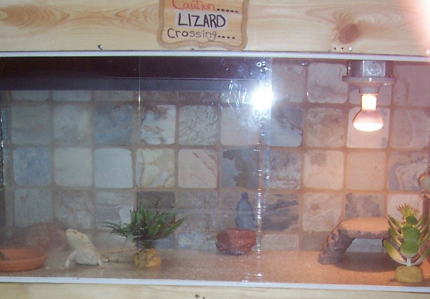 Top cage of condo #2