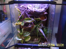 better pic