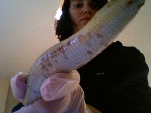 swollen scales