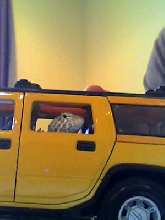 Rocky rolling!!