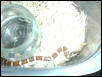 Red Milksnake
