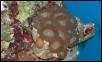 Saltwater Photos