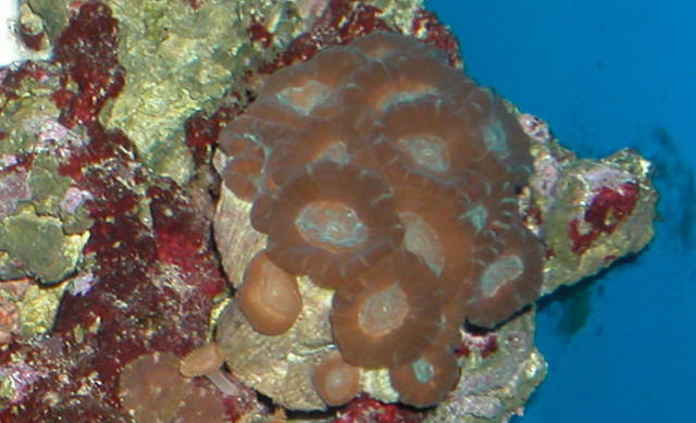 Saltwater Photos