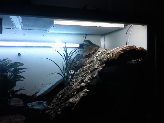 Sparty basking