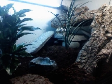Sparty's Hide