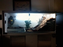 Sparty's tank