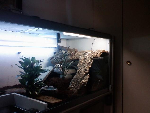 Basking Area and Hide