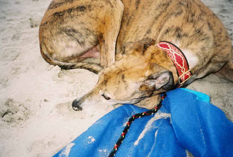 Keno at Dewey Beach